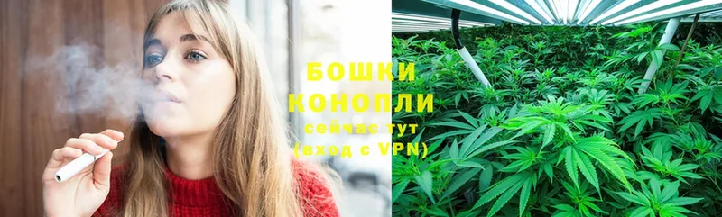 Каннабис OG Kush  Володарск 